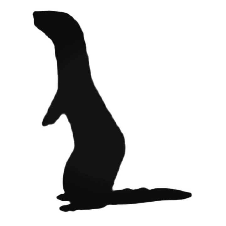 Buy Ferret Sniffing Decal Sticker Online