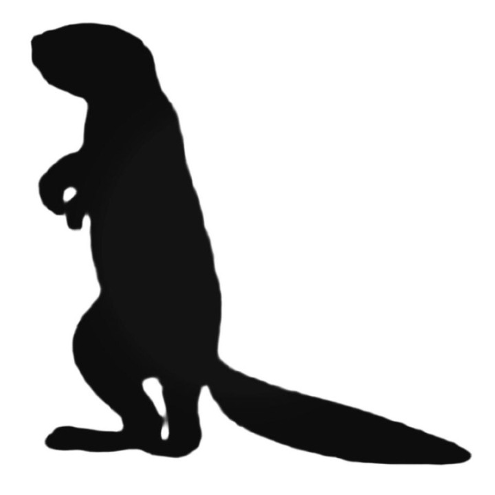 Buy Ferret Standing Decal Sticker Online