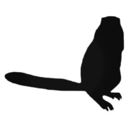 Buy Ferret Standing On Two Legs Decal Sticker Online