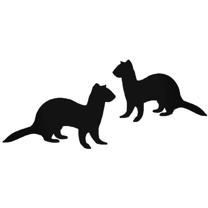 Buy Ferrret Sticker Online
