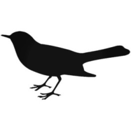 Buy Finch Bird 2 Sticker Online