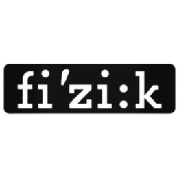 Buy Fizik 2 Decal Sticker Online