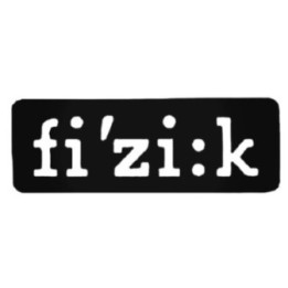 Buy Fizik Block Decal Sticker Online