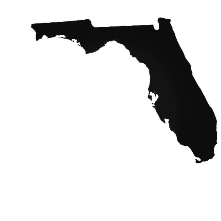 Buy Florida Fl State Decal Sticker Online