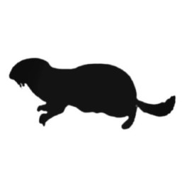 Marmot Stickers – Alpine Wildlife Groundhog Decals (2-Pack)