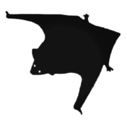 Buy Flying Bat Decal Sticker Online