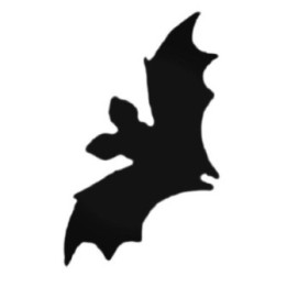 Buy Flying Bat With Big Ears Decal Sticker Online
