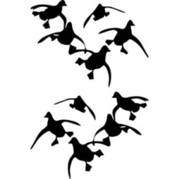 Flying Ducks Hunting Stickers – Waterfowl Vinyl Decals (2-Pack)
