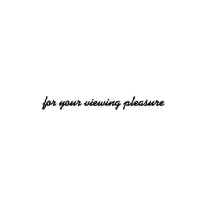 For Your Viewing Pleasure Stickers – Quote Decals (2-Pack)