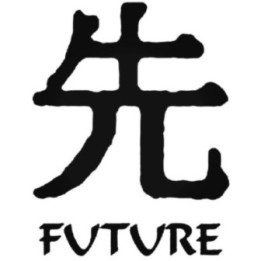 Future Kanji Stickers – Japanese Symbol Decals (2-Pack)