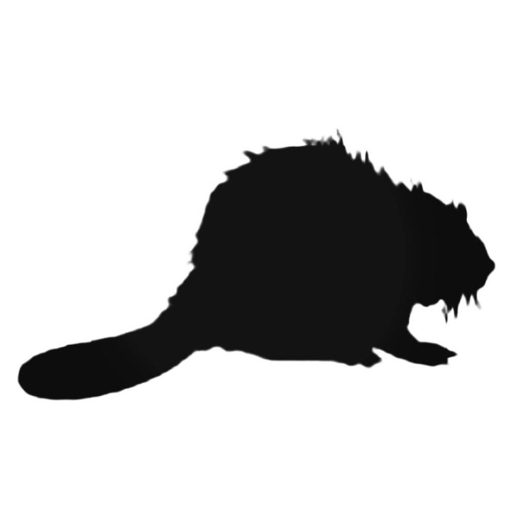 Beaver Silhouette Stickers – Wildlife Decals (2-Pack)