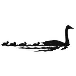 Mother Goose & Goslings Stickers – Wildlife Decals (2-Pack)