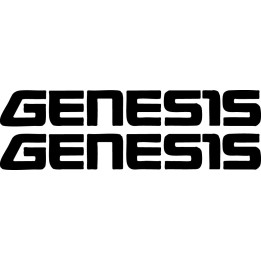 Genesis Stickers – Hyundai Luxury Performance Car Decals (2-Pack)