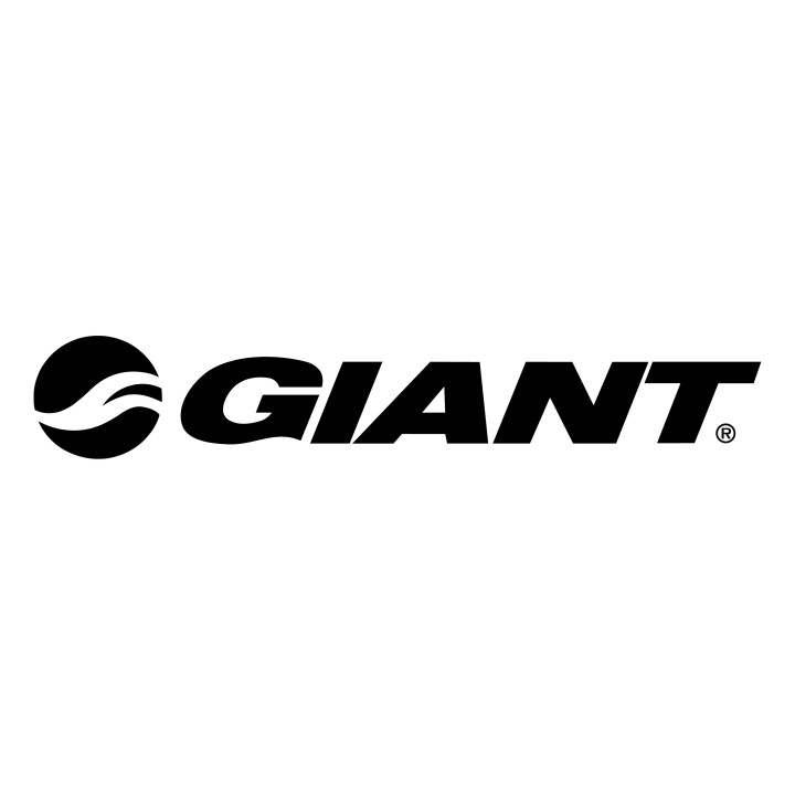 Buy Giant Bicycles 2 Decal Sticker Online