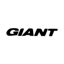 Buy Giant Bikes Text Logo Vinyl Decal Sticker Online