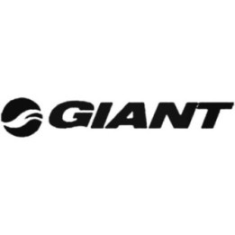 Buy Giant Decal Sticker Online