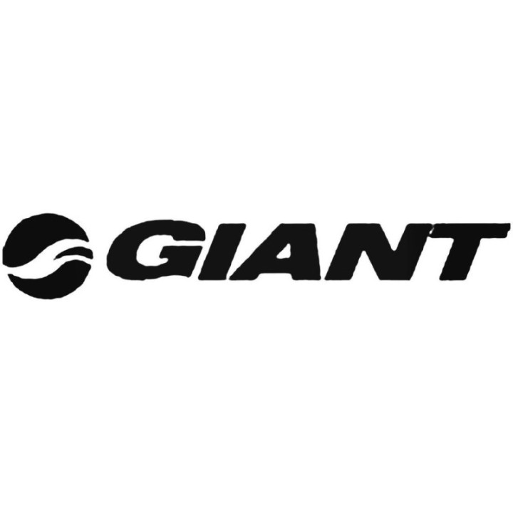 Buy Giant Decal Sticker Online