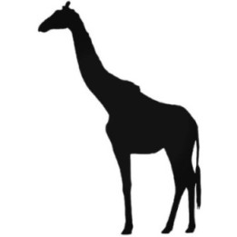 Buy Giraffe Sticker Online