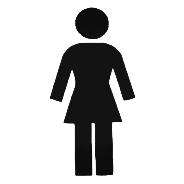 Buy Girl Skateboards Decal Sticker Online