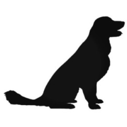 Buy Golden Retriever Decal Sticker Online