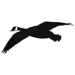 Buy Goose S Style 565 Decal Sticker Online