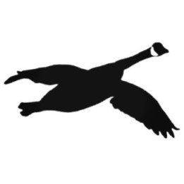 Buy Goose S Style 566 Decal Sticker Online