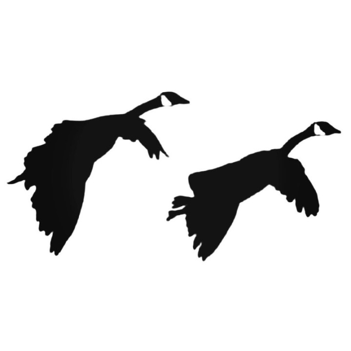 Buy Goose S Style 567 Decal Sticker Online