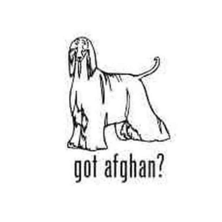 Buy Got Afghan Hound Dog Decal Sticker Online