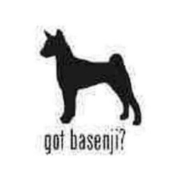 Buy Got Basenji Hound Dog 1 Decal Sticker Online