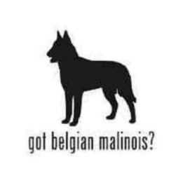 Buy Got Belgian Malinois Dog Silhouette Decal Sticker Online