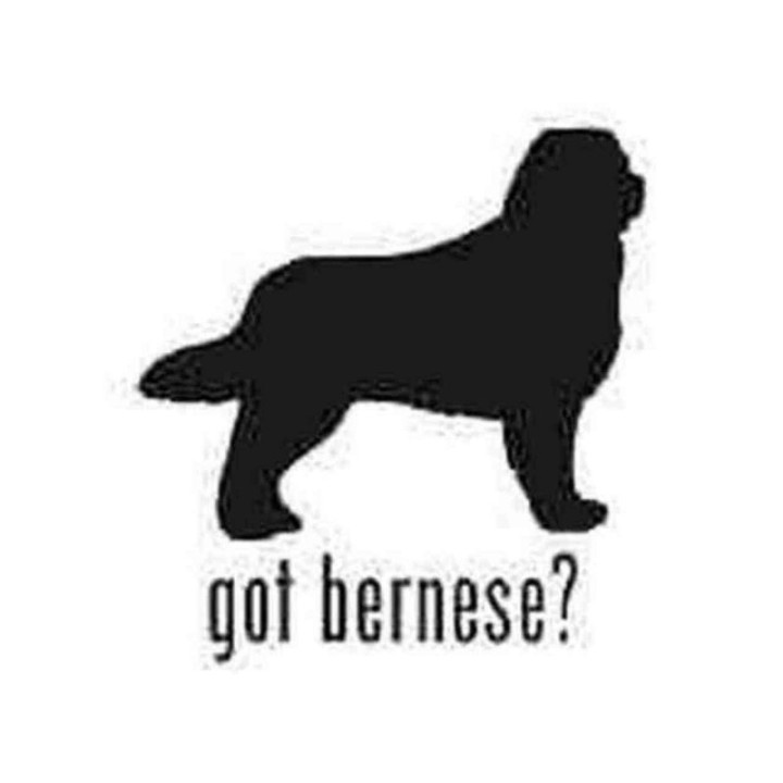 Buy Got Bernese Mountain Dog Silhouette Decal Sticker Online