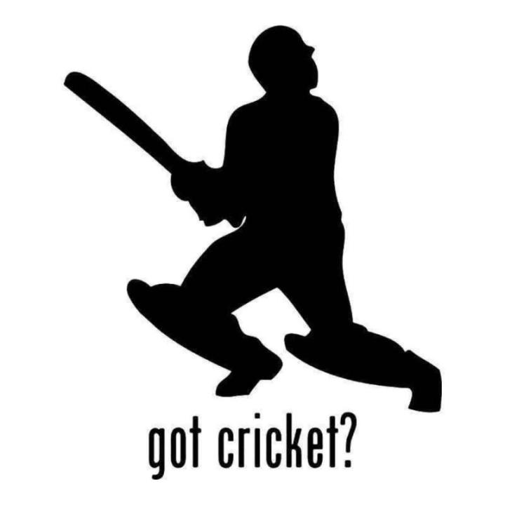 Buy Got Cricket Sports Sticker Online