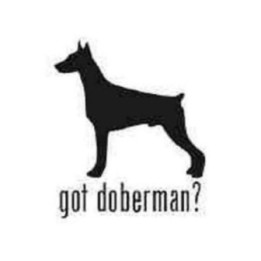 Buy Got Doberman Pinscher Dog Decal Sticker Online