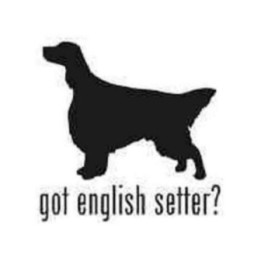 Buy Got English Setter Dog Silhouette Decal Sticker Online