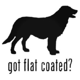 Buy Got Flat Coated Retriestyle Dog Decal Sticker Online