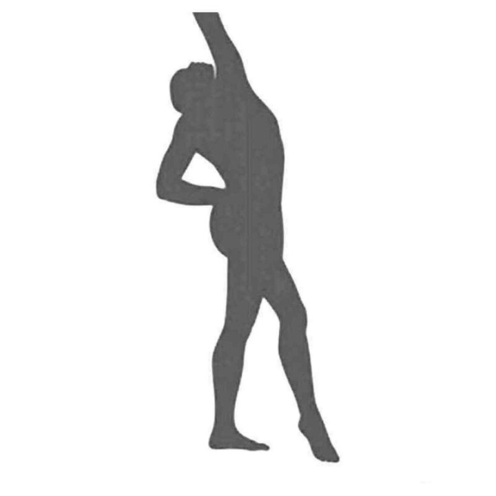 Buy Got Gymnastics Olympic 3 Sticker Online