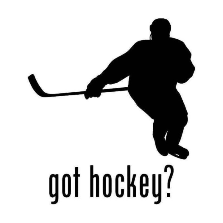 Buy Got Hockey Sports 2 Sticker Online
