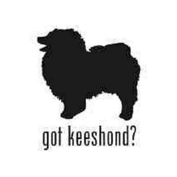 Buy Got Keeshond Dog 1 Decal Sticker Online