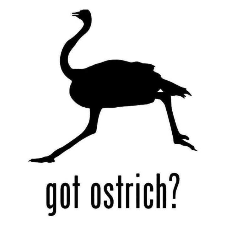 Buy Got Ostrich Bird Sticker Online