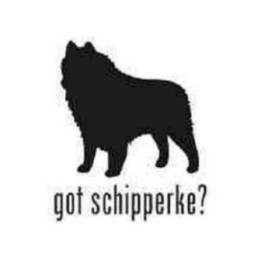 Buy Got Schipperke Dog 1 Decal Sticker Online