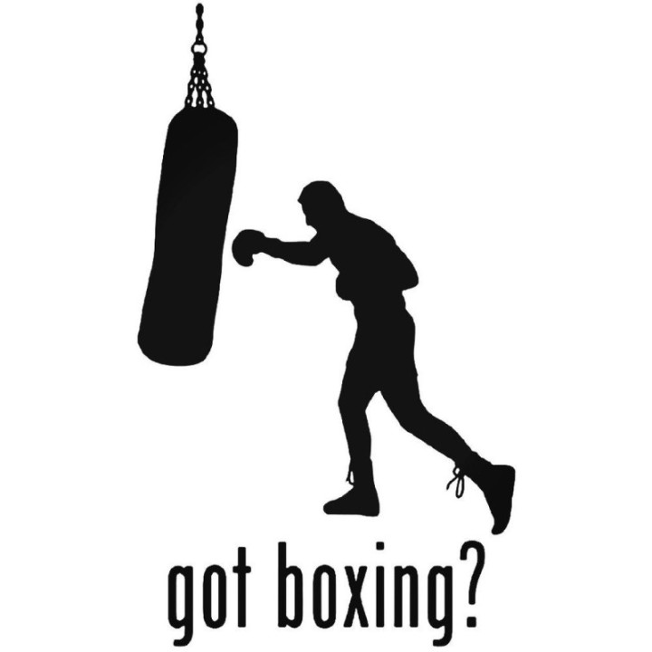 Got Boxing? Stickers – Heavy Bag Training Decals (2-Pack)