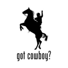 Got Cowboy? Stickers – Western Rodeo Decals (2-Pack)