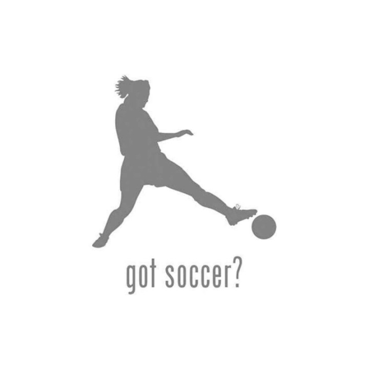 Buy Got S Got Soccer Style 1 Decal Online