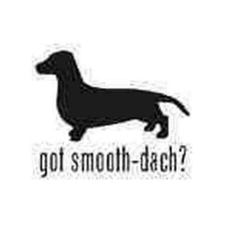 Buy Got Smooth Haired Dachshund Dog 1 Decal Sticker Online