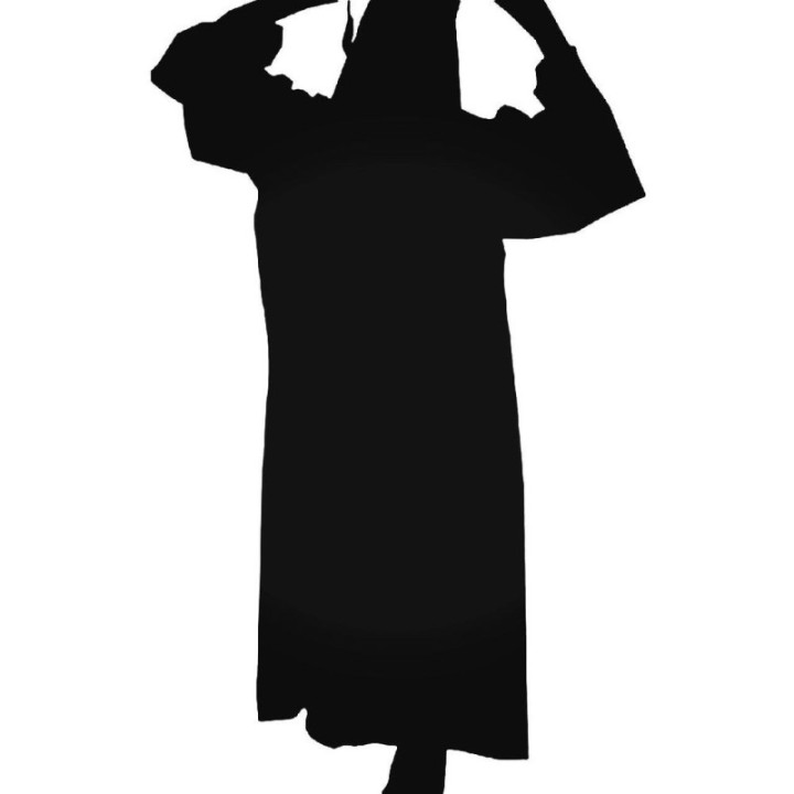 Graduation Stickers – Cap Gown Academic Decals (2-Pack)