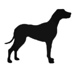 Buy Great Dane Dog Style 3 Inyl Decal Sticker Online