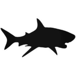 Great White Shark Stickers – Ocean Wildlife Decals (2-Pack)