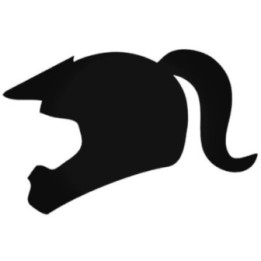 Buy Gril Racing Decal Sticker Online