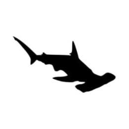 Buy Hammerhead Shark Vinyl Decal Sticker Online