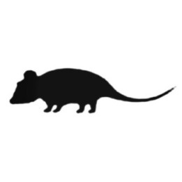 Buy Hamster Decal Sticker Online